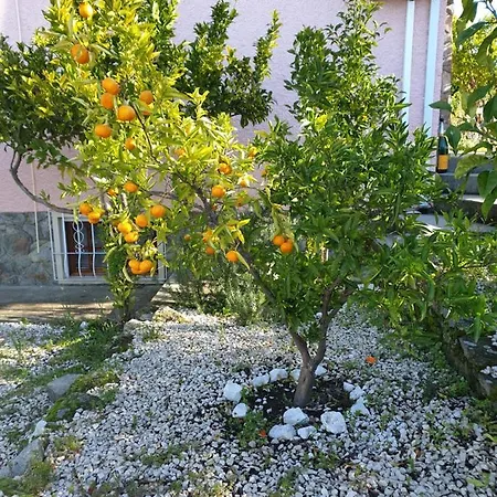 Quinta De Sao Marcos Lantställe *