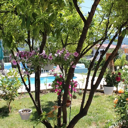 Quinta De Sao Marcos Fundao