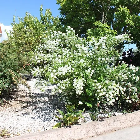 Lantställe Quinta De Sao Marcos