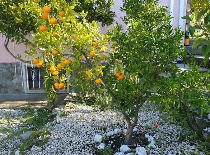 Quinta De Sao Marcos Εξοχικό σπίτι *