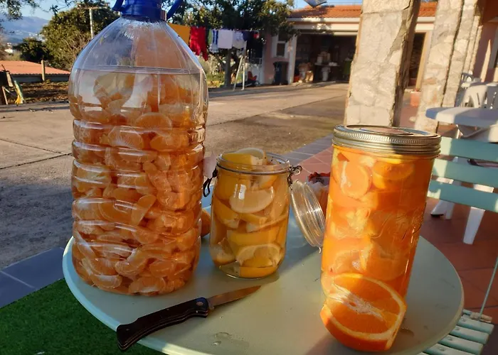 Quinta De Sao Marcos * Fundão