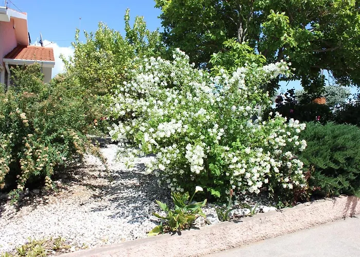 Casa de Campo Quinta De São Marcos